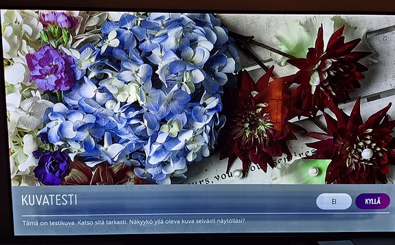 Televisio LG 55"