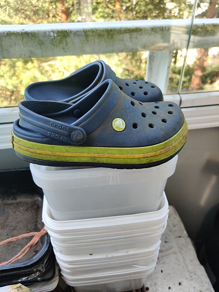 Crocs, koko 32-33