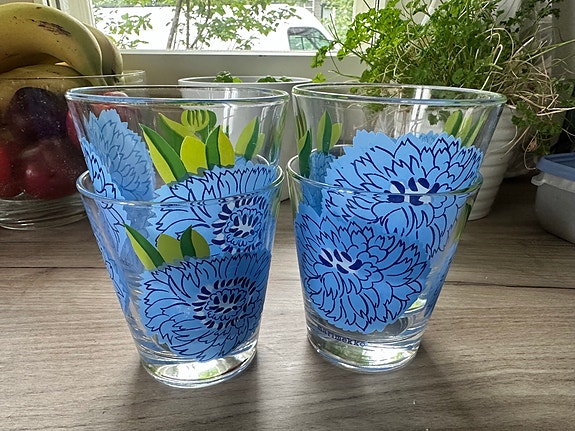 Marimekko Iittala Primavera juomalasit