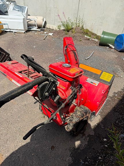 Punainen lumilinko
