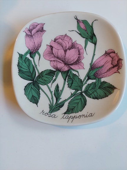 Ester Tomula Rosa Lapponia seinälautanen