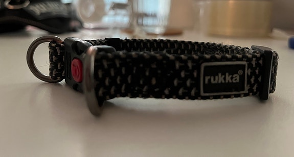 Panta pikkukoiralle Rukka musta