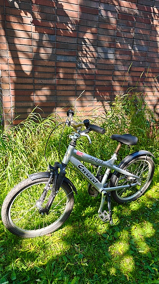 Crescent lastenpyörä 20" harmaa