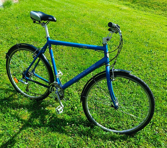 Miesten Tunturi platinum series 300