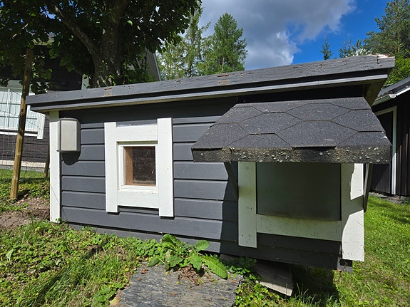 Eristetty koirankoppi