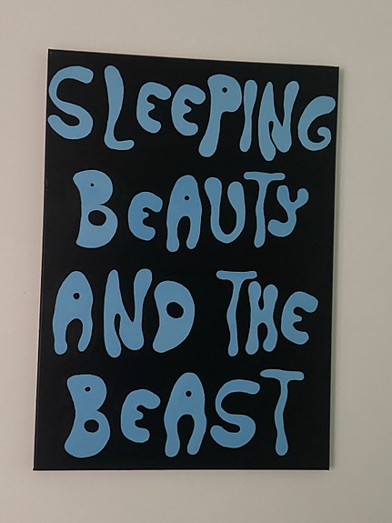 Sleeping Beauty and the Beast taulu