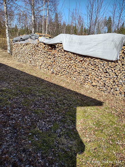 Polttopuuta,kuivaa ja tuoretta