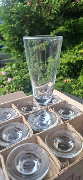 Windsor Tallboy kuohuviinilasit 12 kpl