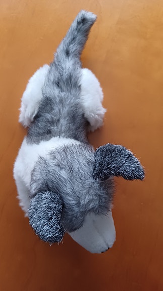 Pehmolelu husky