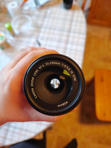 Canon EF-S 55-250mm f/4-5.6 IS STM