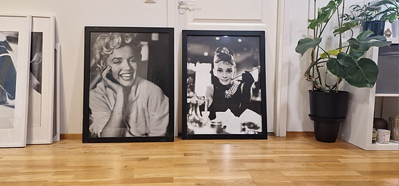 Marilyn ja Audrey taulut