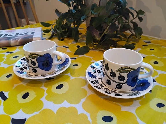 2 x Paratiisi kahvikuppi aluslautasineen