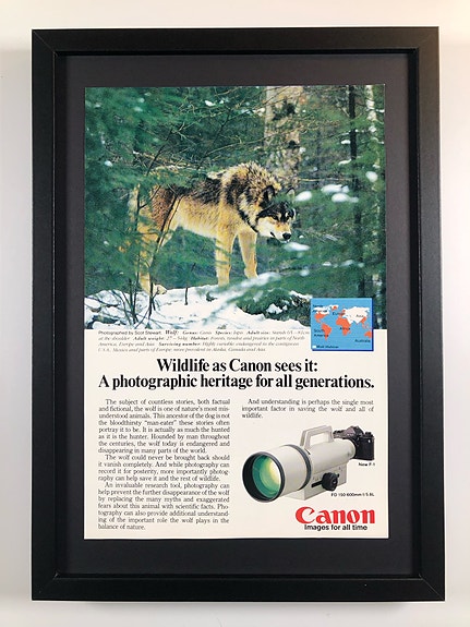 Framed 1983 Vintage Canon New F-1 Camera Original Magazine Advertisement
