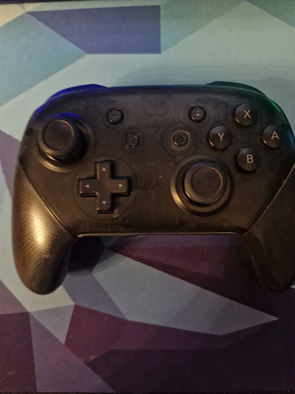 Nintendo Switch Pro Controller