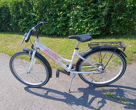 Jupiter 24"