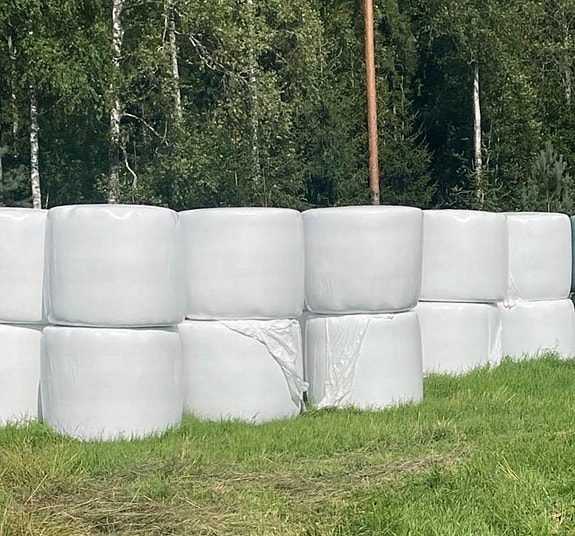 Kuiva heinää isoissa pyöröpaaleissa