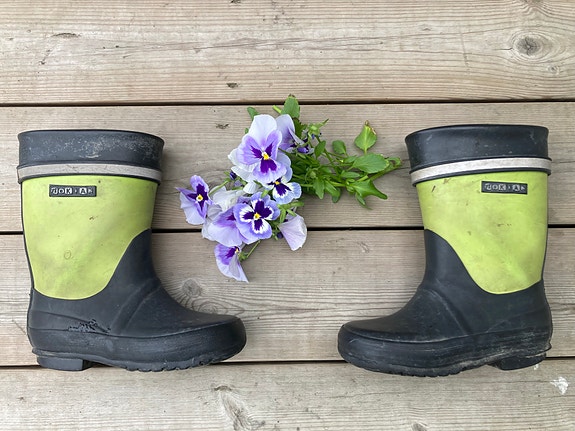 Nokian kumpparit 27
