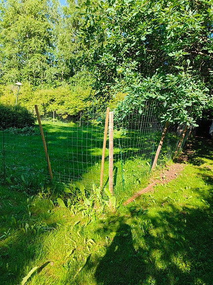 Koira aitaus/riista verkkoa 50m + 15 puu tolppaa