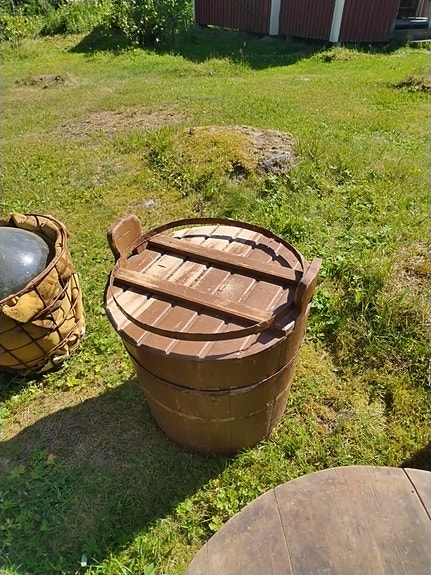 Puu Tiinu ruovedellä
