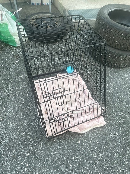 Metallinen koiranhäkki