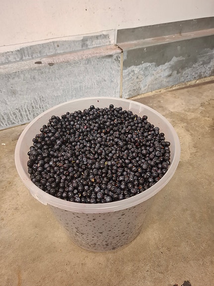 Mustikkaa kempele, oulunseutu, tyrnävä, liminka, tupos