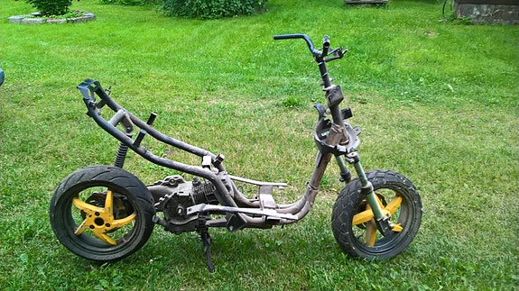 Solifer scootteri