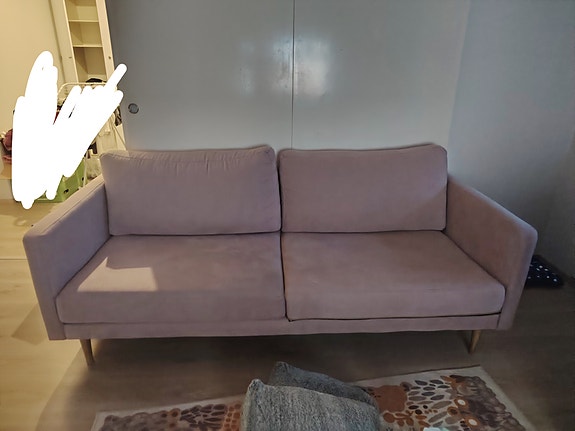 Copenhagen Rosa