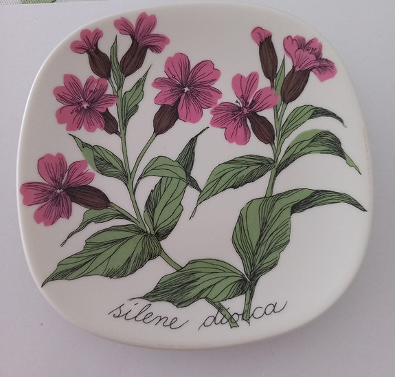 Arabia Botanica Puna-ailakki