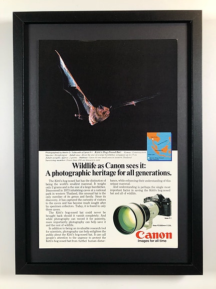 Framed 1984 Vintage Canon New F-1 Camera Original Magazine Advertisement