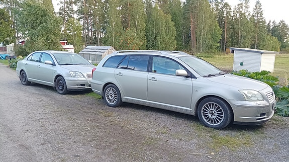 Avensis 2kpl osina