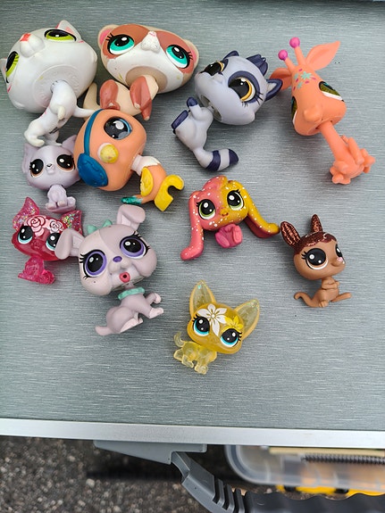 Pet Shop