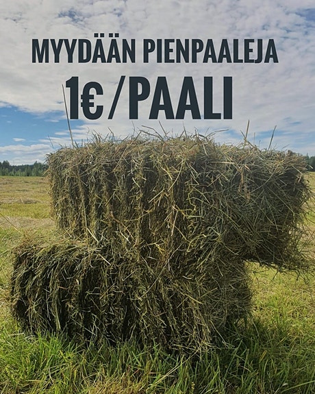 Heinää pienpaaleissa Haapajärvellä!