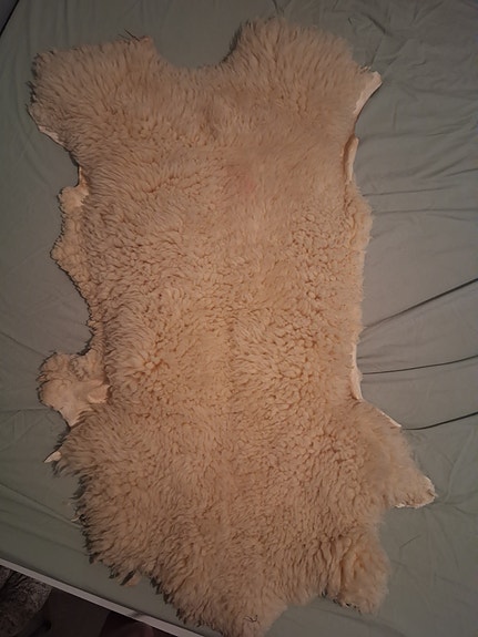 Lampaantalja