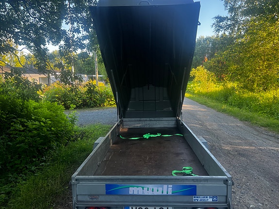 Muuli 850 kipillä