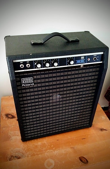 Roland GB-30 bassocombo (1977-1982) vintage MIJ, 12"