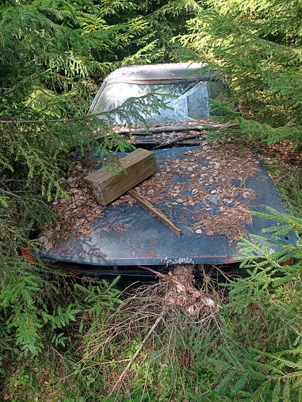 Auto kokonaan