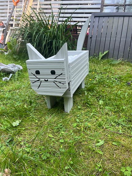 Kissa kukkalaatikko