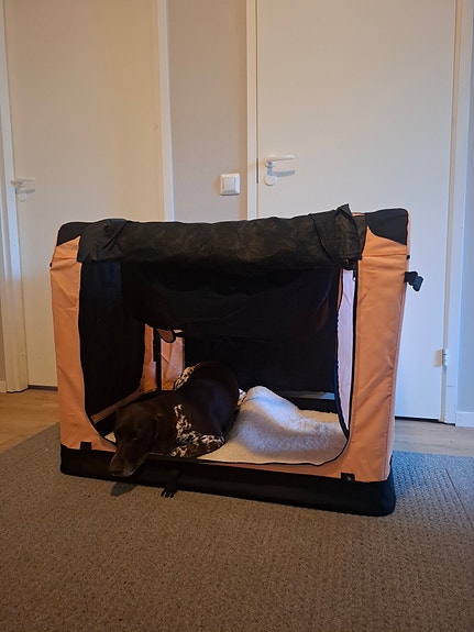 PetEasy kevythäkki XXXL