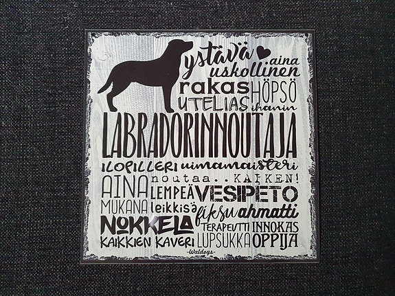 Labradorinnoutaja -peltitaulu