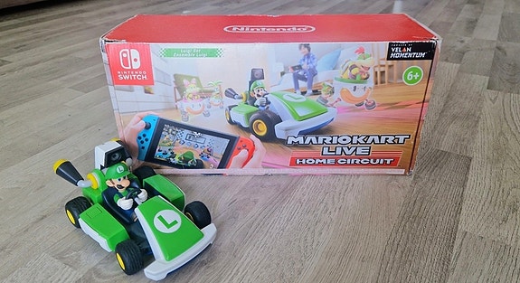Mario Kart Live Luigi