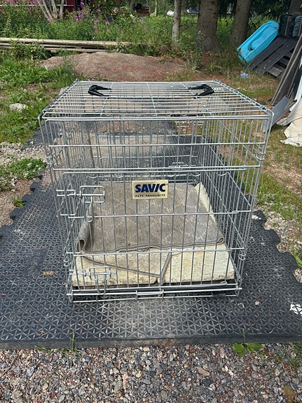 Savic metallinen koiranhäkki