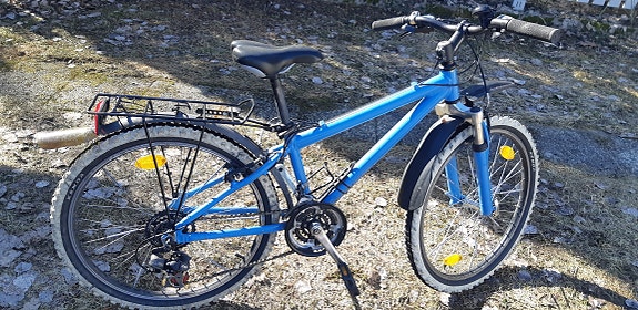 Mountain bike with two sets of wheels