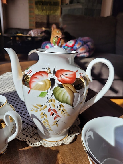 Lomonosovin kahviastiasto