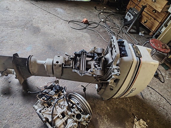 Johnson 20