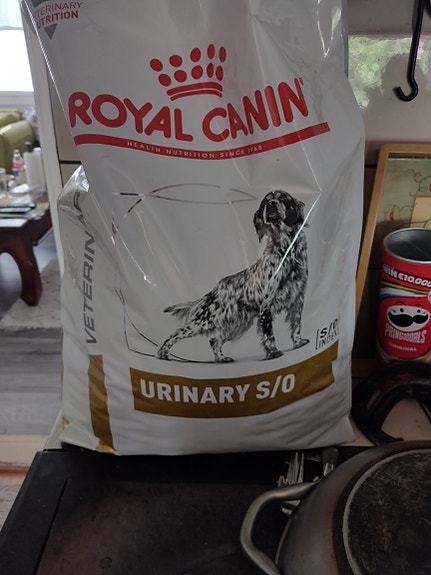 Urinary koiran ruokaa