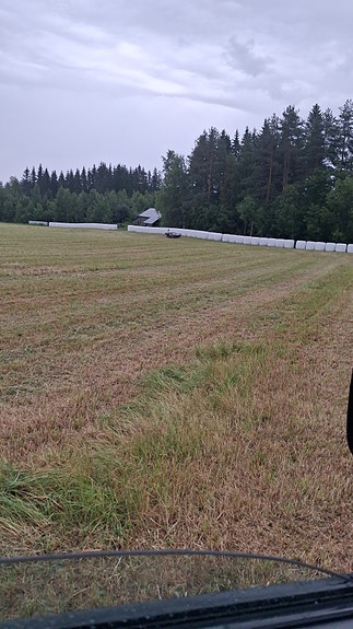 Kuivaa heinää