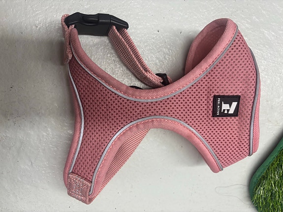 pinkki koiran valjas