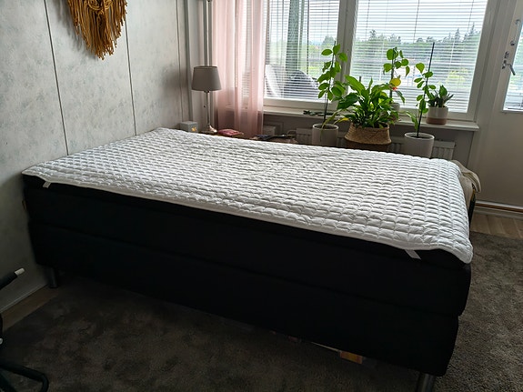 Jenkkisänky