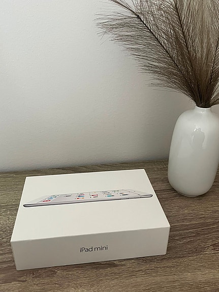 iPad mini