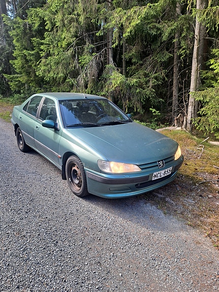 Peugeot 406 osina